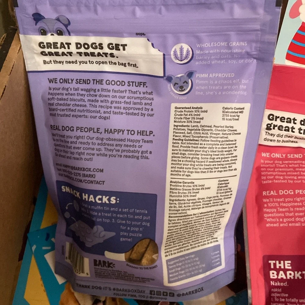 NWT BarkBox Sniffin Booty Pirate Themed Box